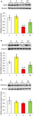 Mild Exercise Rescues Steroidogenesis and Spermatogenesis in Rats Submitted to Food Withdrawal